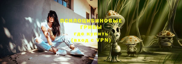 тгк Алзамай
