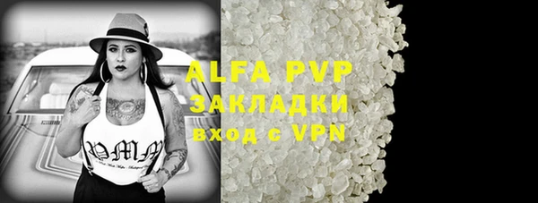 мет Алексин