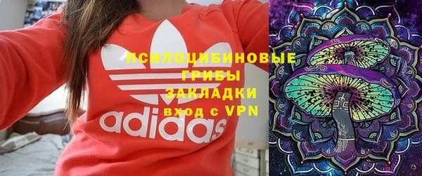 мет Алексин