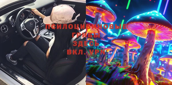 тгк Алзамай