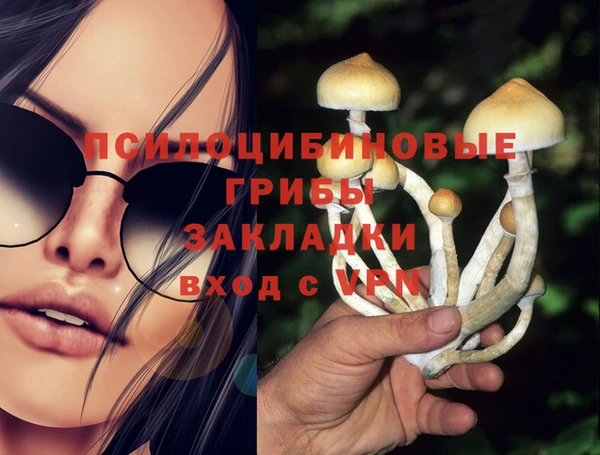 тгк Алзамай