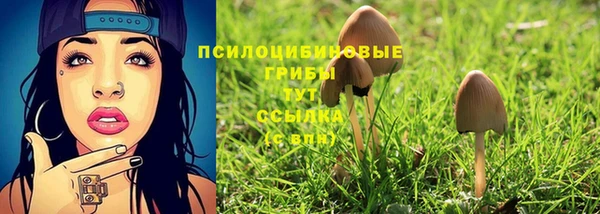 прущий лед Алексеевка
