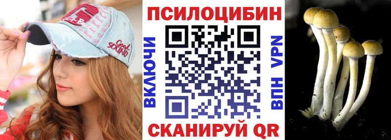 Псилоцибиновые грибы мицелий  где продают наркотики  Павлово 